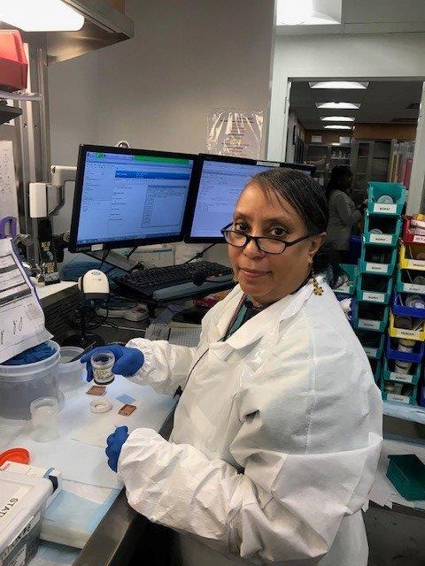 histotechnologist