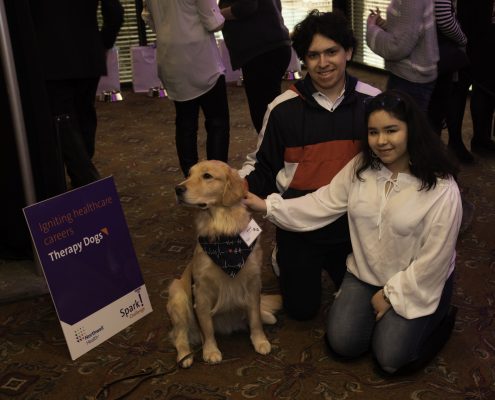spark-therapy-dogs