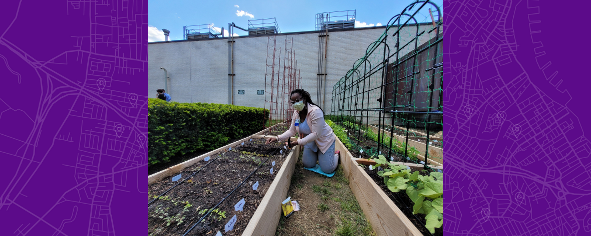 Wellness Garden Blog Header